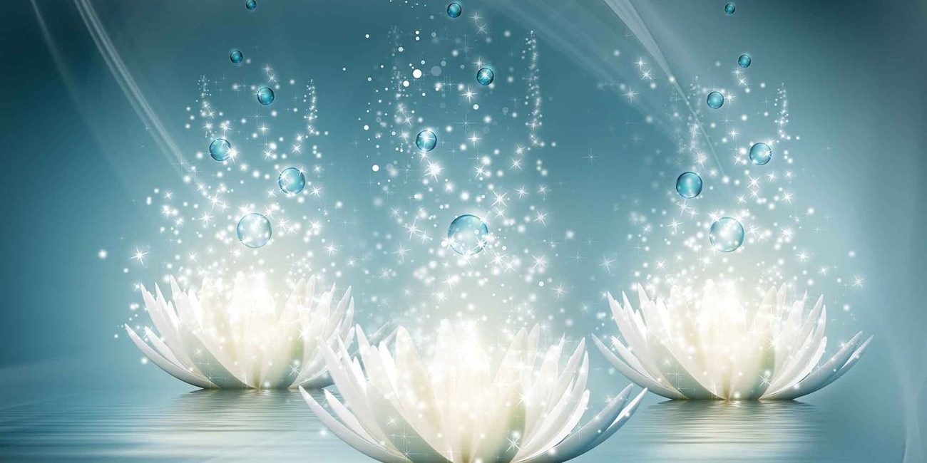white-lotus-flowers-drops-i46365